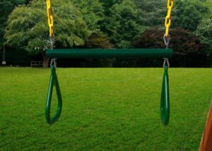 Trapeze Bar Assembly with Rings