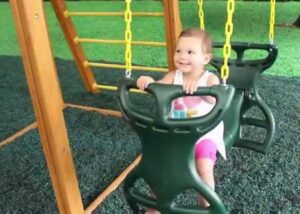 Eastern Jungle Gym Horse Glider