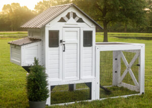 Sweetwater Chicken Coop